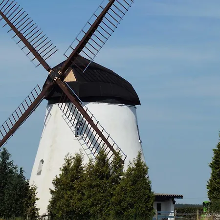 Muehlenurlaub Suedheide Вилла